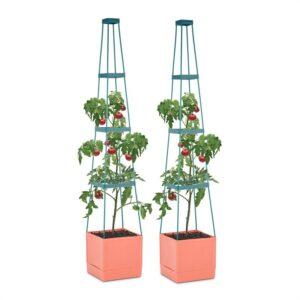 Waldbeck Tomato Tower